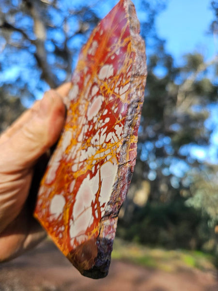 Polished Noreena Jasper slab. NJ471