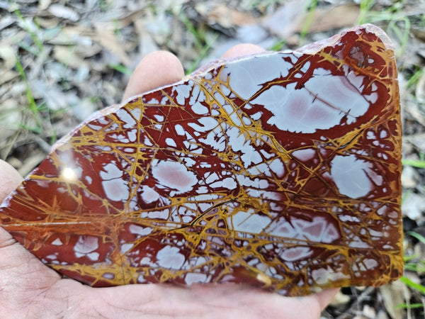 Polished Noreena Jasper slab. NJ471