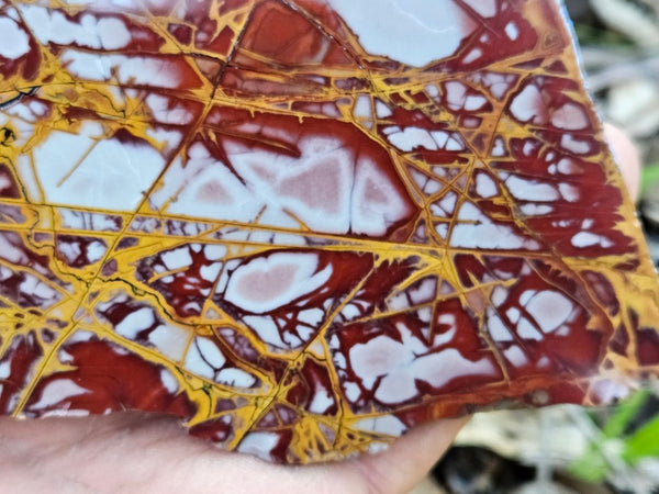 Polished Noreena Jasper slab. NJ471