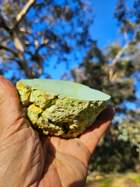 Polished Lime Magnesite specimen. MAP206