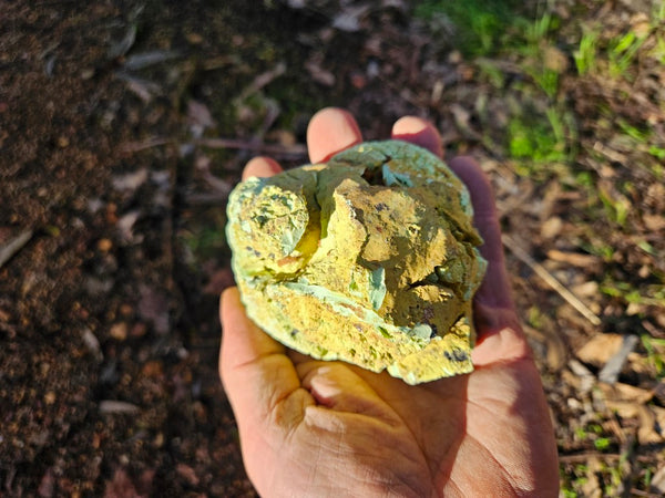 Polished Lime Magnesite specimen. MAP206