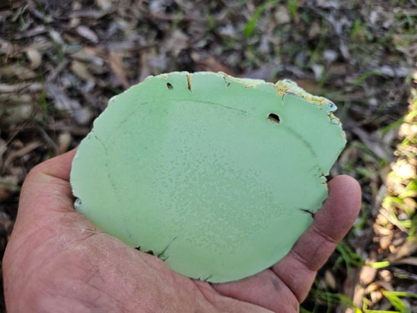 Polished Lime Magnesite specimen. MAP206