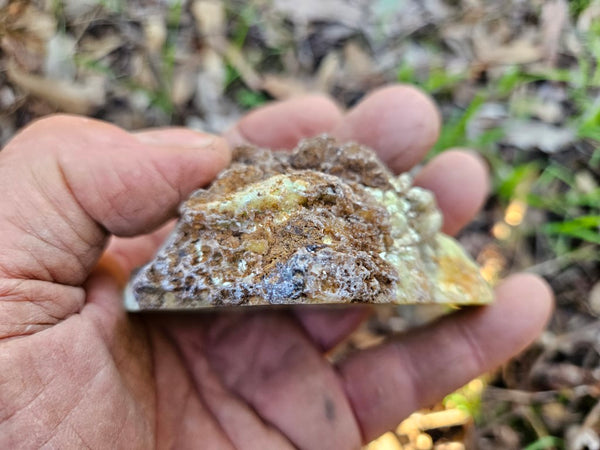 Polished Lime Magnesite specimen. MAP207