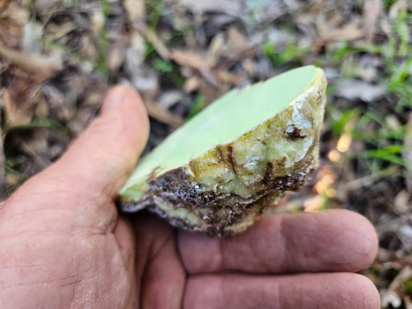 Polished Lime Magnesite specimen. MAP207