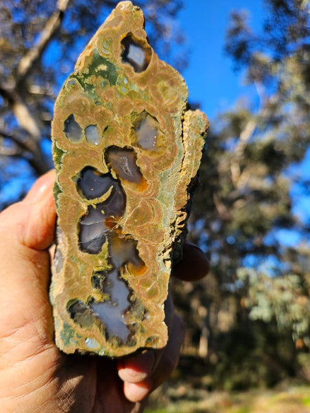 Polished Rainforest Jasper RFJ146