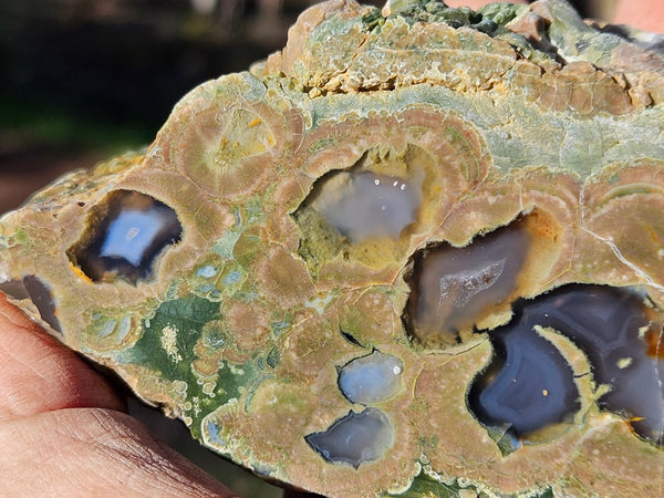 Polished Rainforest Jasper RFJ146