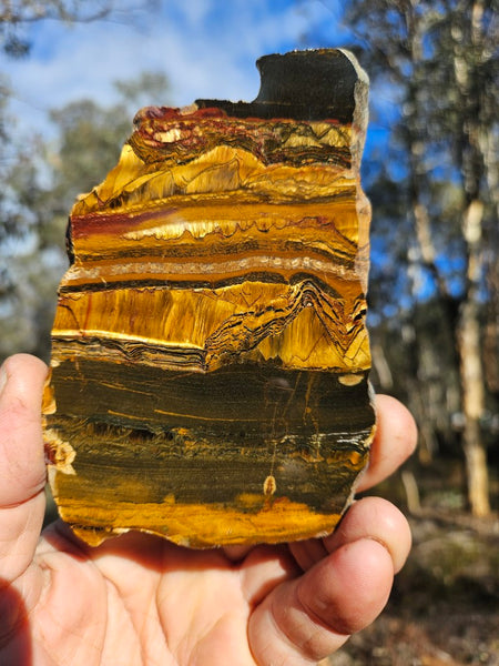 Polished Tiger Eye slab TE411