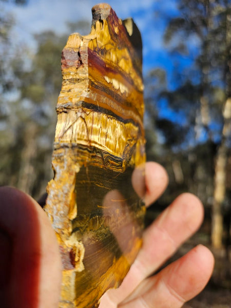 Polished Tiger Eye slab TE411