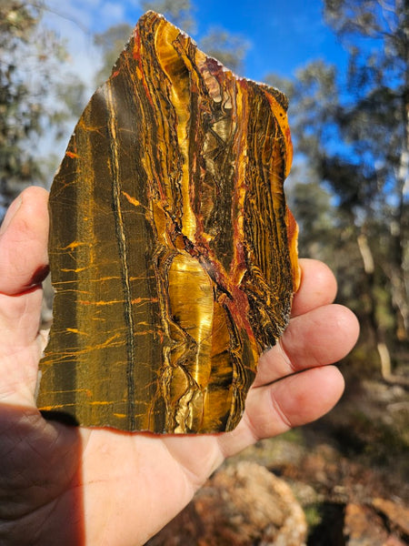 Polished Tiger Eye slab TE410