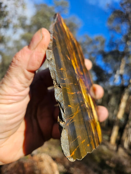 Polished Tiger Eye slab TE410