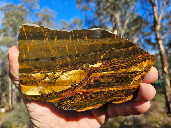 Polished Tiger Eye slab TE410