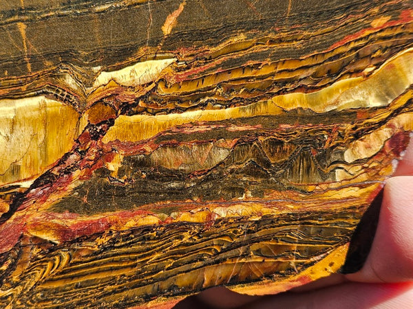 Polished Tiger Eye slab TE410