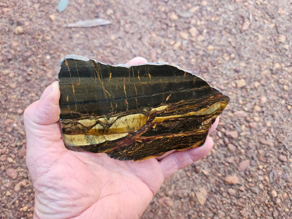 Polished Tiger Eye slab TE410