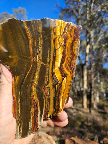 Polished Tiger Eye TE412