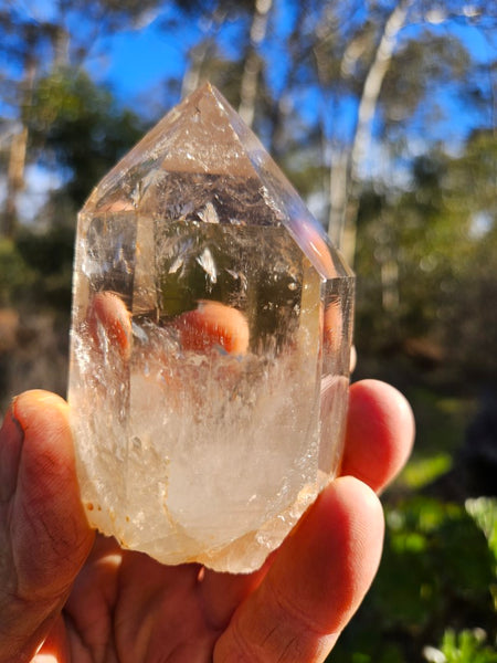 West Australian Quartz crystal . XL109