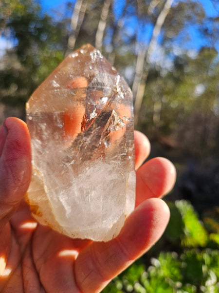 West Australian Quartz crystal . XL109