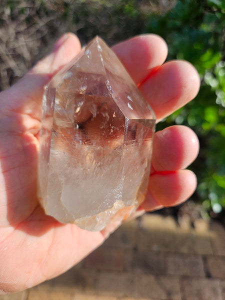 West Australian Quartz crystal . XL109