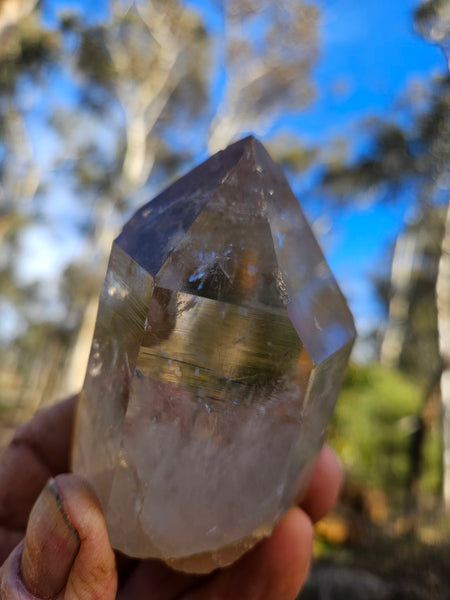 West Australian Quartz crystal . XL109