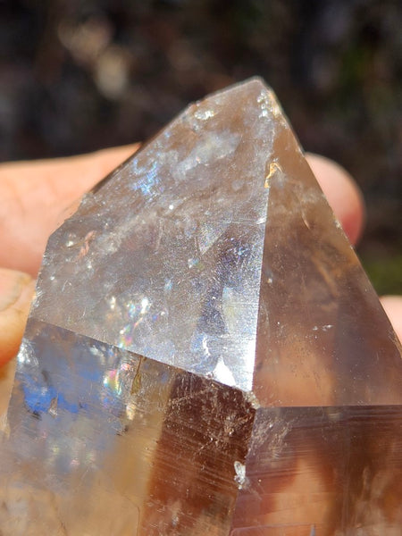 West Australian Quartz crystal . XL109