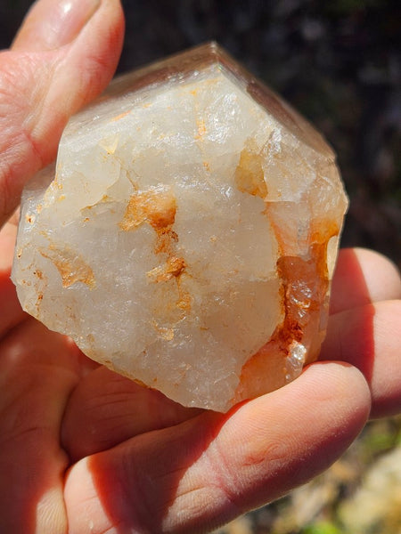 West Australian Quartz crystal . XL109