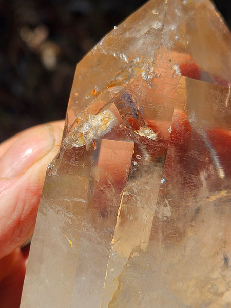 West Australian Quartz crystal . XL109