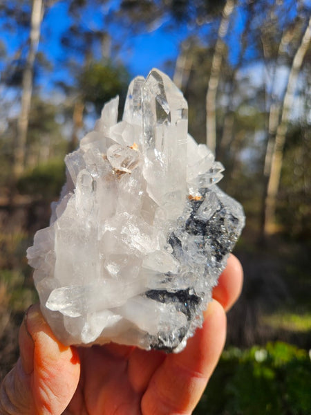 West Australian Quartz crystal cluster. XL110