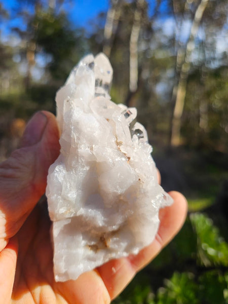 West Australian Quartz crystal cluster. XL110