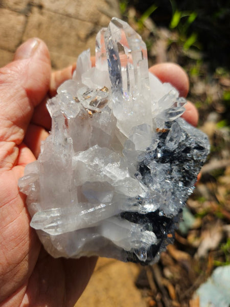 West Australian Quartz crystal cluster. XL110