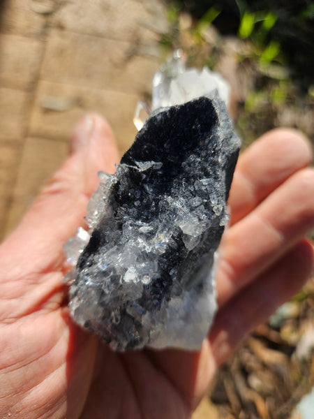 West Australian Quartz crystal cluster. XL110