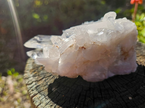 West Australian Quartz crystal cluster. XL110