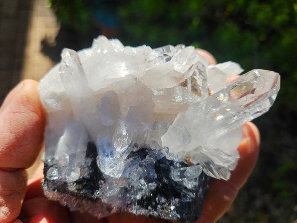 West Australian Quartz crystal cluster. XL110