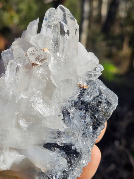 West Australian Quartz crystal cluster. XL110