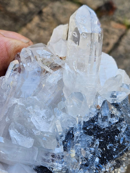 West Australian Quartz crystal cluster. XL110