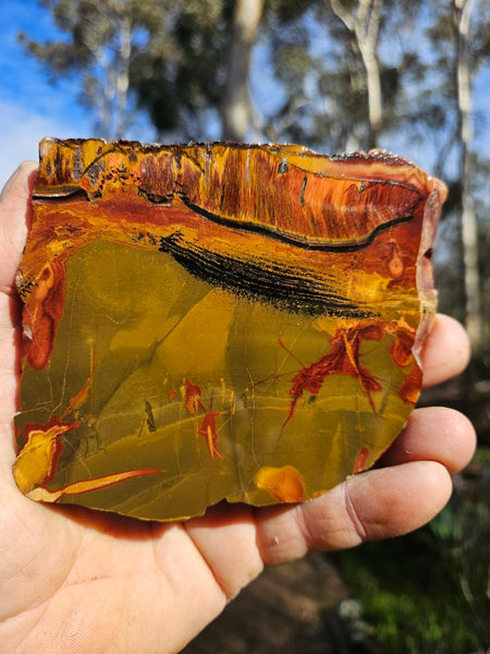 Polished Tiger Eye slab TE409