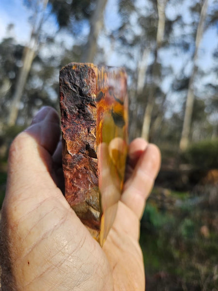 Polished Tiger Eye slab TE409