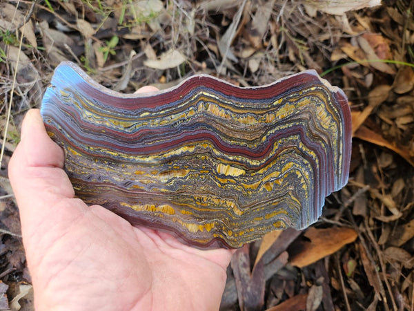 Polished Tiger Iron slab TI329