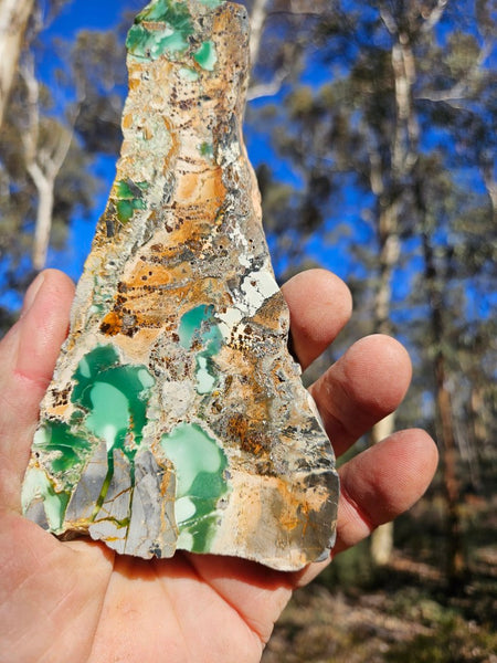 Variscite Polished Slab.  VP 278