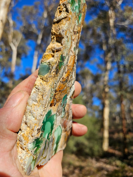 Variscite Polished Slab.  VP 278