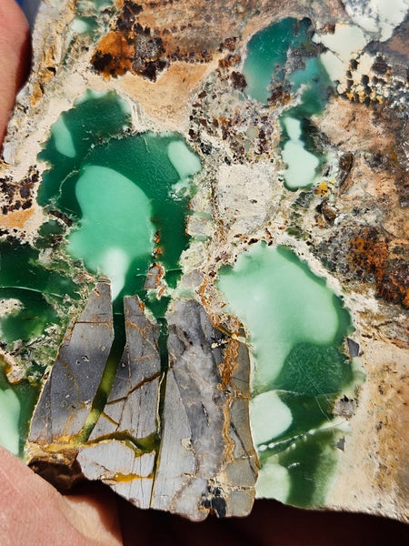 Variscite Polished Slab.  VP 278