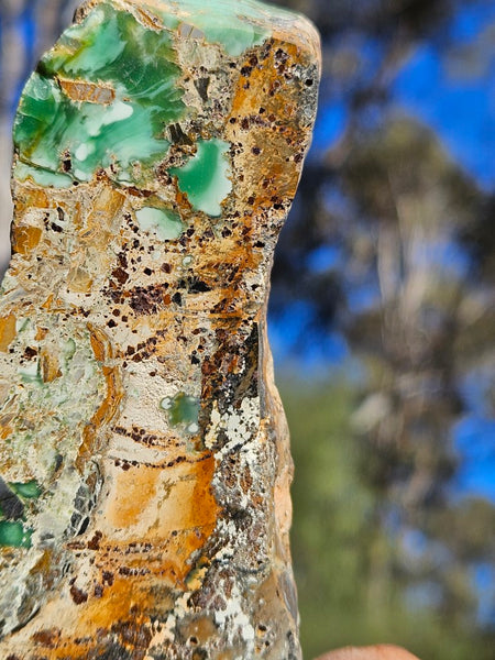 Variscite Polished Slab.  VP 278