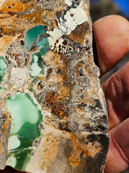 Variscite Polished Slab.  VP 278