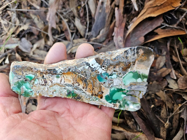 Variscite Polished Slab.  VP 278