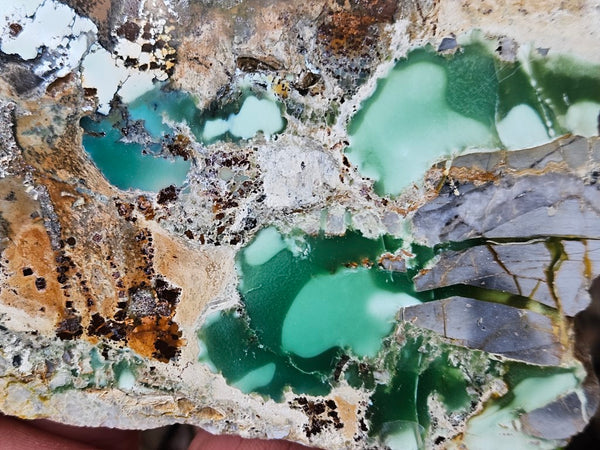 Variscite Polished Slab.  VP 278