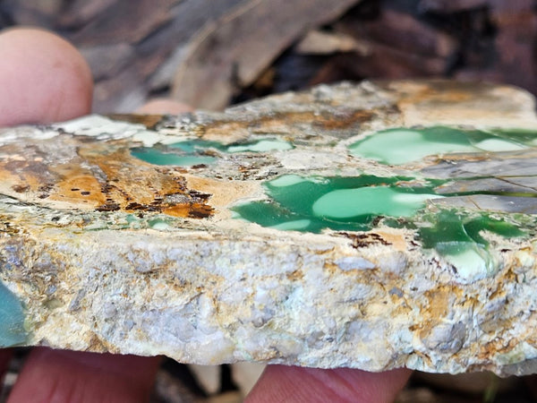 Variscite Polished Slab.  VP 278