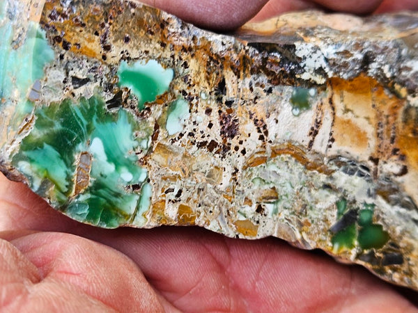 Variscite Polished Slab.  VP 278