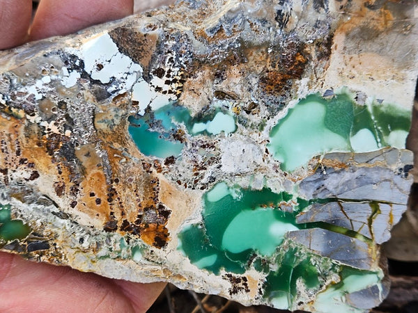 Variscite Polished Slab.  VP 278