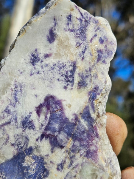 Polished Blue Lepidolite slab BL257