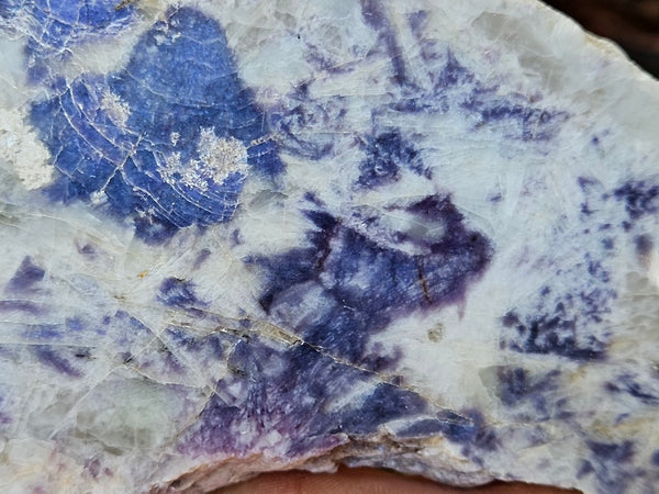 Polished Blue Lepidolite slab BL257