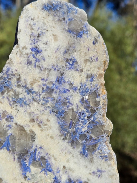 Polished Blue Lepidolite slab BL258