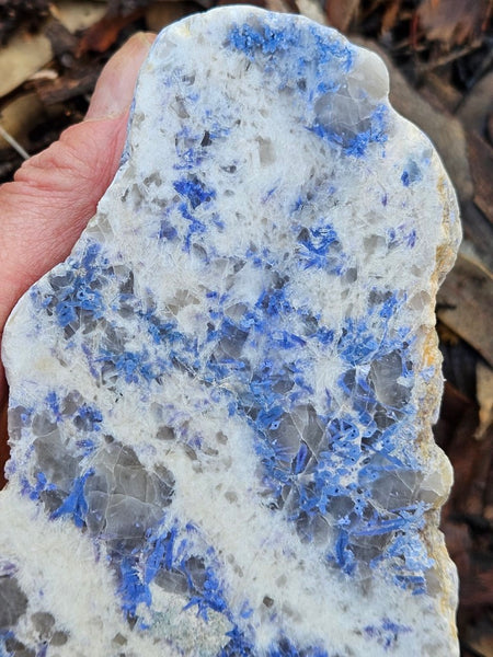 Polished Blue Lepidolite slab BL258